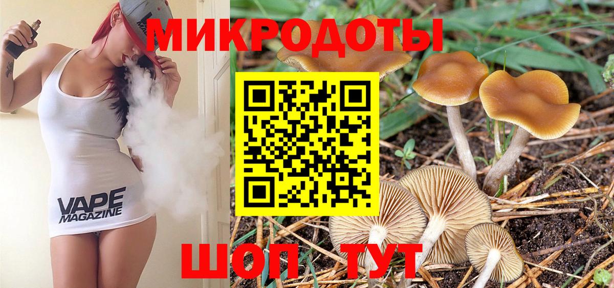 Галлюциногенные грибы Cubensis  Псилоцибиновые грибы Cubensis  Ижевск  Вход с VPN 