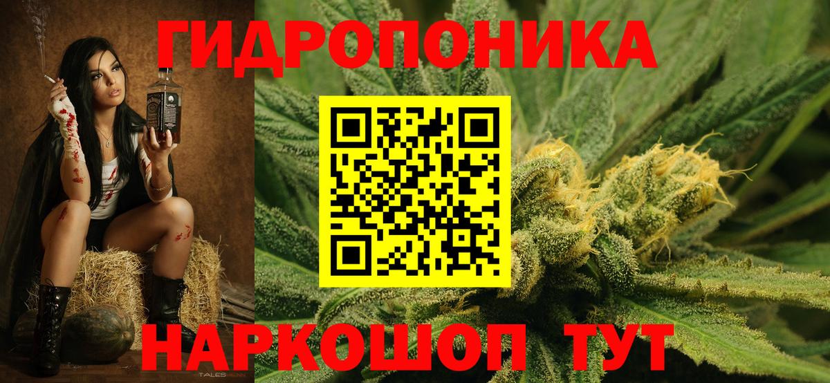 Конопля Amnesia  Бошки Шишки SATIVA & INDICA  МАРИХУАНА конопля  Вход с VPN  Шишки марихуана индика  Ижевск 